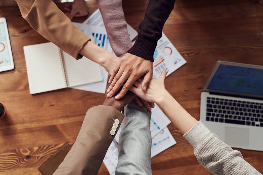 Segmentos Infinit Marketing